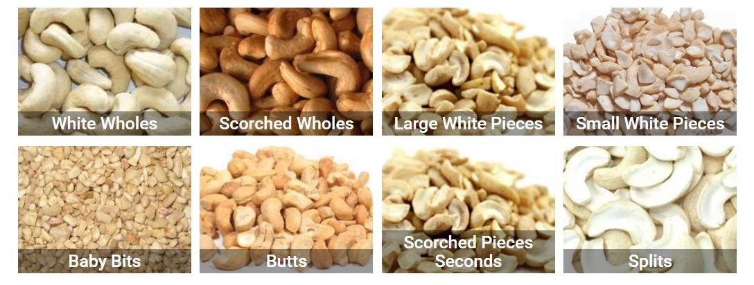 Types of Cashews, Standards and Classifications of Cashews