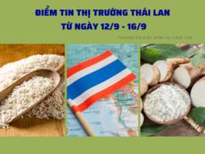 vn-thailan